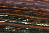 Polished Tiger Iron Stromatolite - ( Billion Years) #92974-1